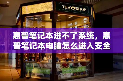 惠普笔记本进不了系统，惠普笔记本电脑怎么进入安全模式-第1张图片-星选测评