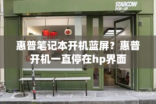 惠普笔记本开机蓝屏？惠普开机一直停在hp界面-第1张图片-星选测评