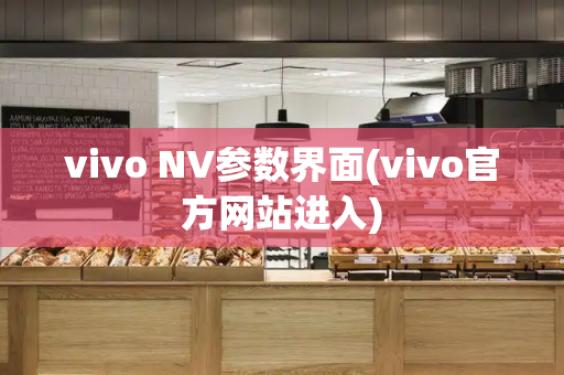 vivo NV参数界面(vivo官方网站进入)-第1张图片-星选测评