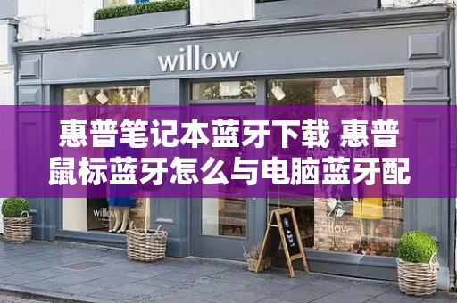惠普笔记本蓝牙下载 惠普鼠标蓝牙怎么与电脑蓝牙配对-第1张图片-星选测评