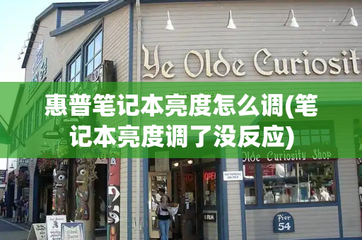 惠普笔记本亮度怎么调(笔记本亮度调了没反应)