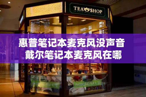 惠普笔记本麦克风没声音 戴尔笔记本麦克风在哪-第1张图片-星选测评