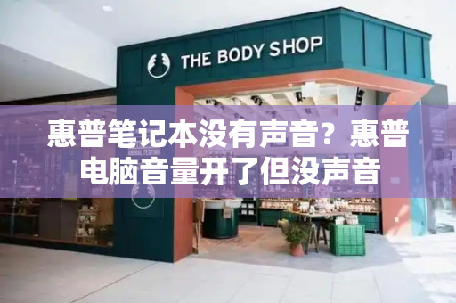 惠普笔记本没有声音？惠普电脑音量开了但没声音