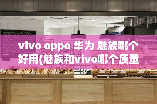 vivo oppo 华为 魅族哪个好用(魅族和vivo哪个质量好)