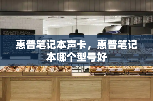 惠普笔记本声卡，惠普笔记本哪个型号好