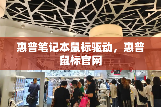 惠普笔记本鼠标驱动，惠普鼠标官网-第1张图片-星选测评