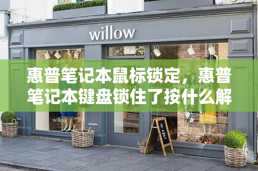 惠普笔记本鼠标锁定，惠普笔记本键盘锁住了按什么解锁-第1张图片-星选测评