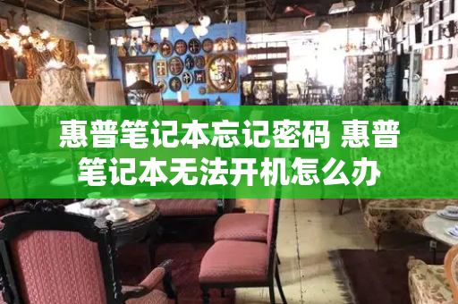 惠普笔记本忘记密码 惠普笔记本无法开机怎么办-第1张图片-星选测评
