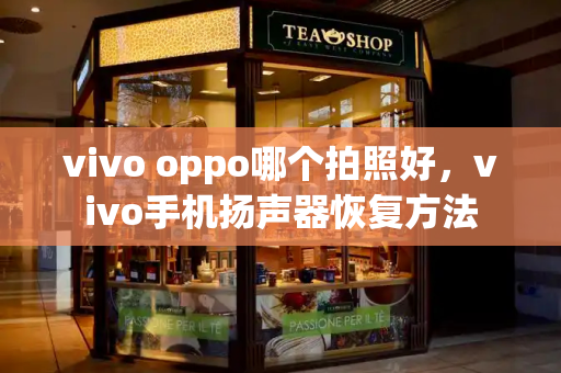 vivo oppo哪个拍照好，vivo手机扬声器恢复方法