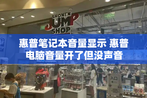 惠普笔记本音量显示 惠普电脑音量开了但没声音-第1张图片-星选测评