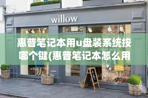 惠普笔记本用u盘装系统按哪个键(惠普笔记本怎么用u盘重装系统)-第1张图片-星选测评
