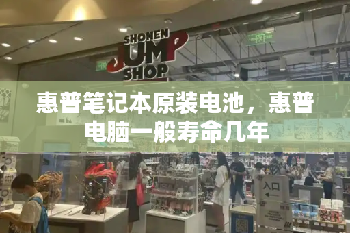 惠普笔记本原装电池，惠普电脑一般寿命几年-第1张图片-星选测评
