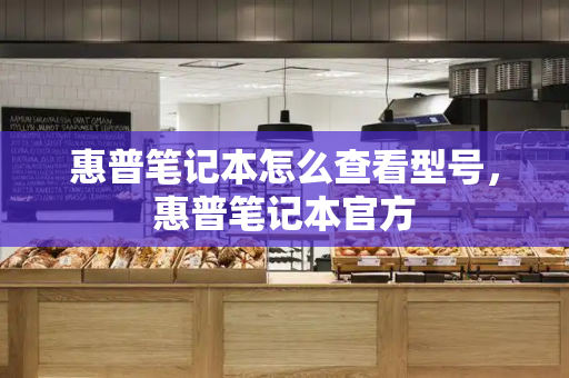 惠普笔记本怎么查看型号，惠普笔记本官方-第1张图片-星选测评