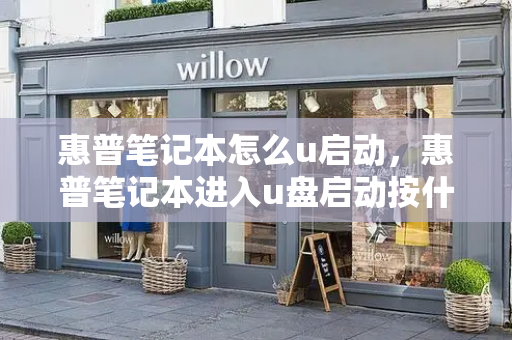 惠普笔记本怎么u启动，惠普笔记本进入u盘启动按什么键