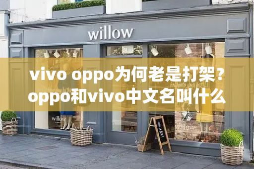 vivo oppo为何老是打架？oppo和vivo中文名叫什么-第1张图片-星选测评