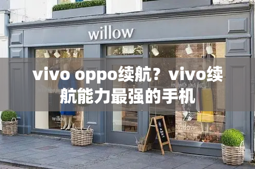 vivo oppo续航？vivo续航能力最强的手机