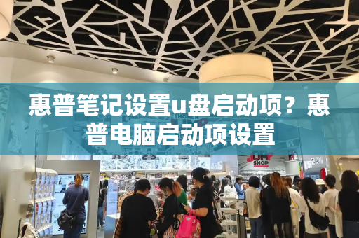 惠普笔记设置u盘启动项？惠普电脑启动项设置-第1张图片-星选测评