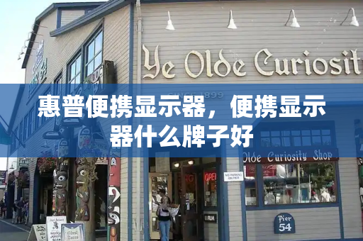 惠普便携显示器，便携显示器什么牌子好