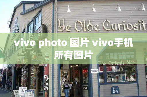 vivo photo 图片 vivo手机所有图片-第1张图片-星选测评