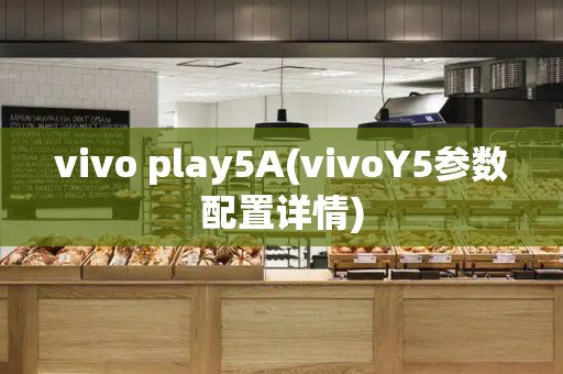 vivo play5A(vivoY5参数配置详情)-第1张图片-星选测评