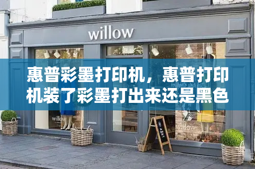 惠普彩墨打印机，惠普打印机装了彩墨打出来还是黑色-第1张图片-星选测评