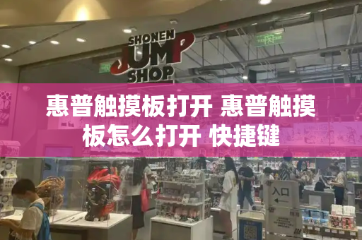 惠普触摸板打开 惠普触摸板怎么打开 快捷键