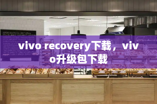vivo recovery下载，vivo升级包下载-第1张图片-星选测评