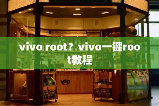 vivo root？vivo一键root教程-第1张图片-星选测评