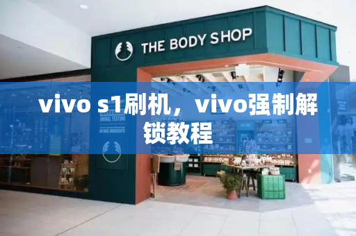 vivo s1刷机，vivo强制解锁教程