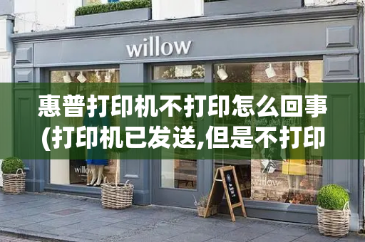 惠普打印机不打印怎么回事(打印机已发送,但是不打印)-第1张图片-星选测评