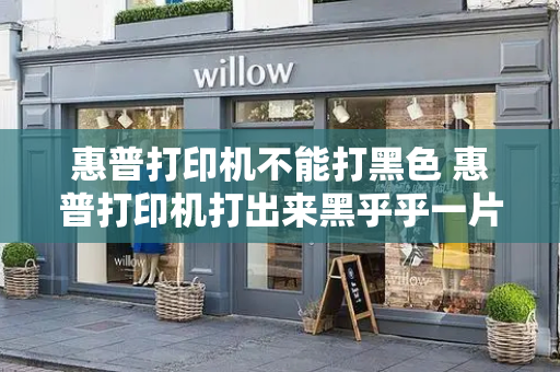 惠普打印机不能打黑色 惠普打印机打出来黑乎乎一片-第1张图片-星选测评