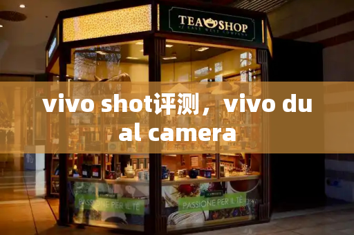 vivo shot评测，vivo dual camera-第1张图片-星选测评