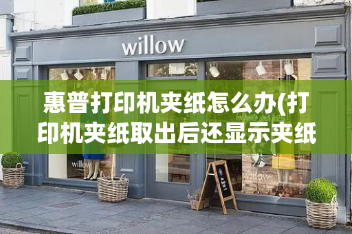 惠普打印机夹纸怎么办(打印机夹纸取出后还显示夹纸)-第1张图片-星选测评