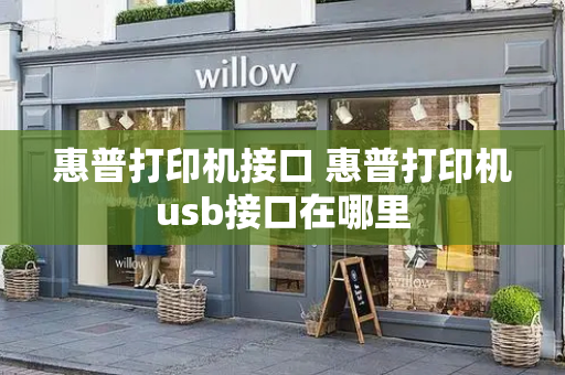 惠普打印机接口 惠普打印机usb接口在哪里-第1张图片-星选测评