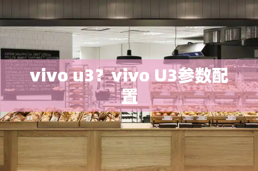 vivo u3？vivo U3参数配置-第1张图片-星选测评