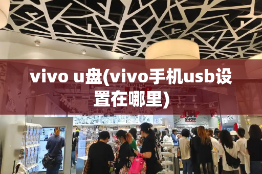 vivo u盘(vivo手机usb设置在哪里)