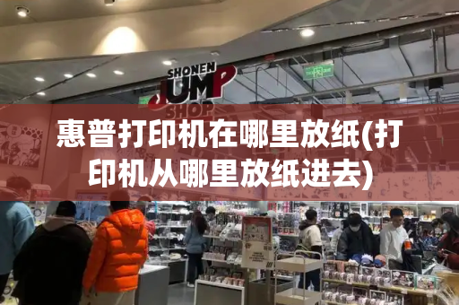 惠普打印机在哪里放纸(打印机从哪里放纸进去)-第1张图片-星选测评