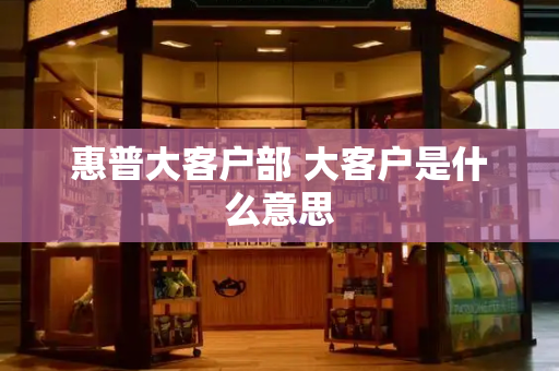 惠普大客户部 大客户是什么意思