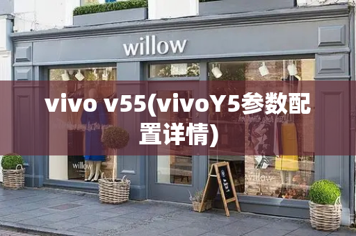 vivo v55(vivoY5参数配置详情)