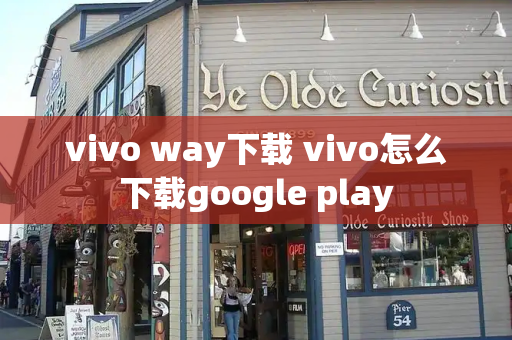 vivo way下载 vivo怎么下载google play-第1张图片-星选测评
