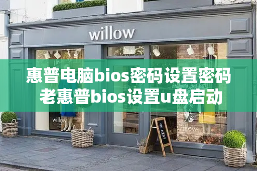 惠普电脑bios密码设置密码 老惠普bios设置u盘启动
