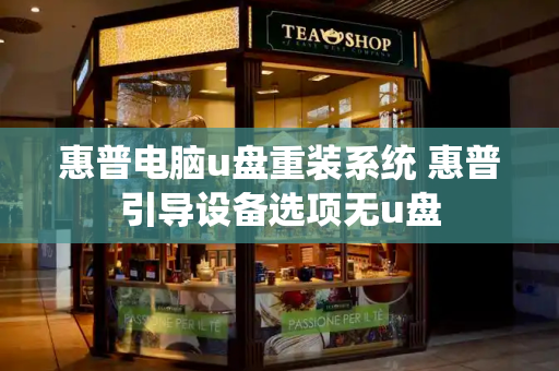 惠普电脑u盘重装系统 惠普引导设备选项无u盘