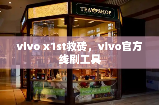 vivo x1st救砖，vivo官方线刷工具