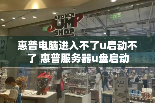 惠普电脑进入不了u启动不了 惠普服务器u盘启动-第1张图片-星选测评