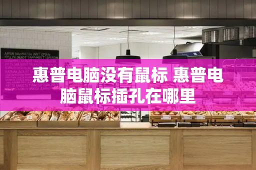 惠普电脑没有鼠标 惠普电脑鼠标插孔在哪里