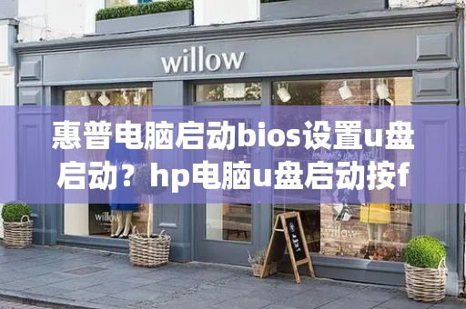 惠普电脑启动bios设置u盘启动？hp电脑u盘启动按f几