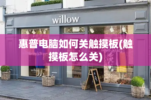 惠普电脑如何关触摸板(触摸板怎么关)-第1张图片-星选测评