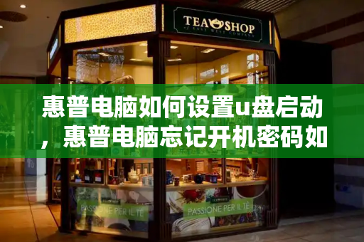 惠普电脑如何设置u盘启动，惠普电脑忘记开机密码如何解决