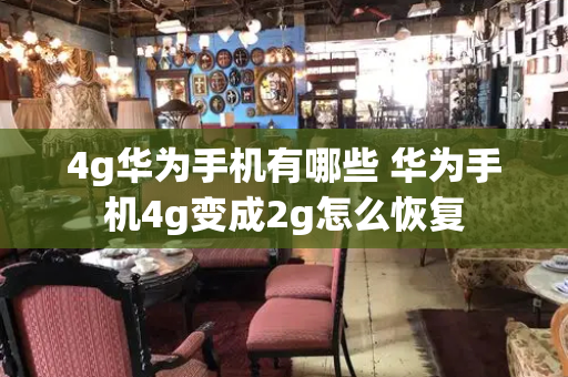 4g华为手机有哪些 华为手机4g变成2g怎么恢复-第1张图片-星选测评