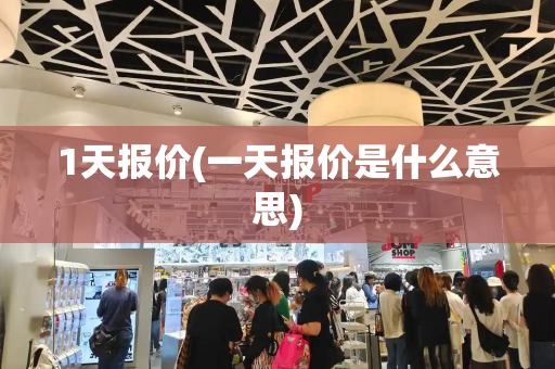 1天报价(一天报价是什么意思)-第1张图片-星选测评